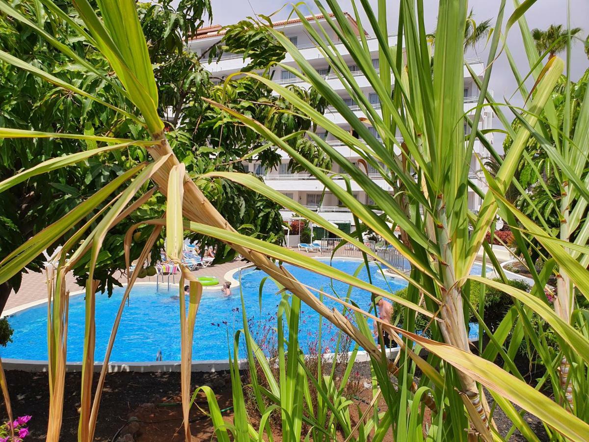 Spectacular Renovated Apartment, 5 Min To Camison Beach, With Aircon Arona  Kültér fotó